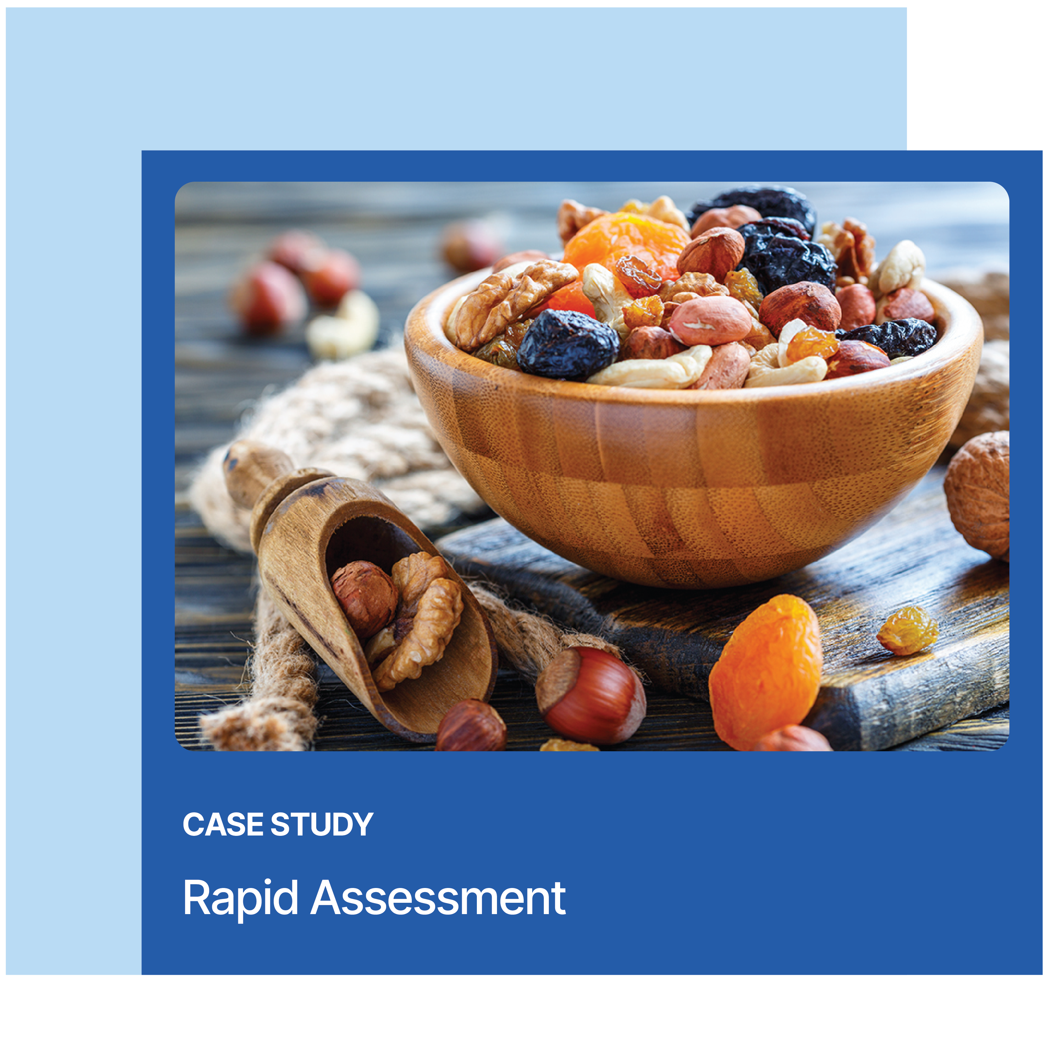 TranzAct-Case-Study-Rapid-Assessment-SK